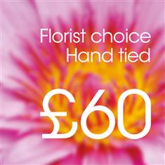 Florist choice large ht