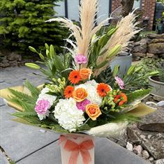 Touch of class pampas
